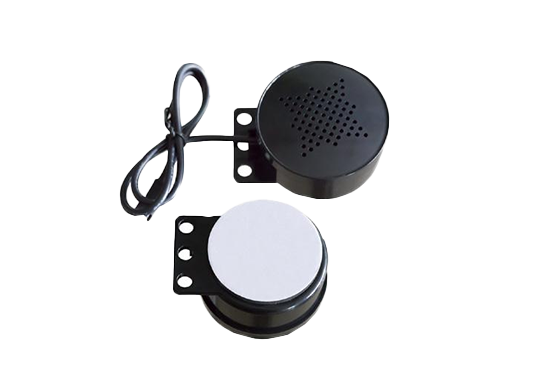 Buzzer
